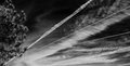 SkyStreaks8.jpg