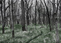 path_IMG_0882.jpg