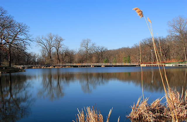 greenwood_IMG_0835.jpg