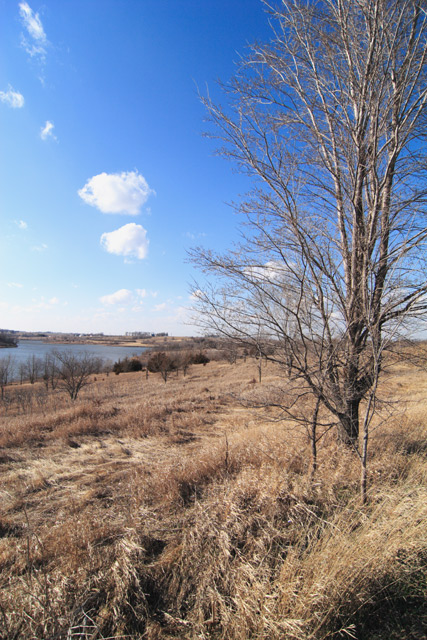 bcreek_raw_IMG_0600.jpg