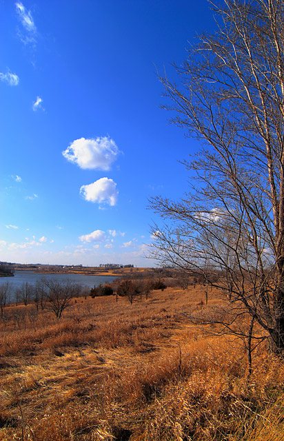 bcreek_IMG_0600.jpg