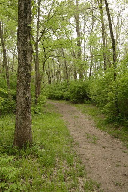 leading_raw_IMG_1042.jpg