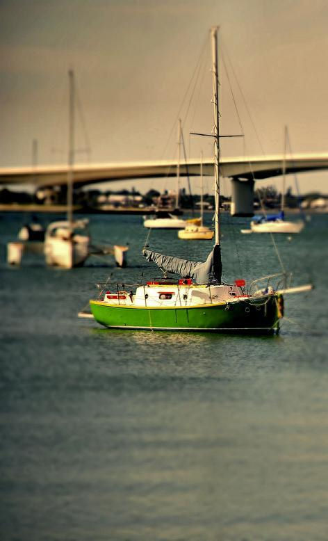 littlesailboat.jpg