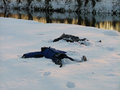 snowangels2.jpg