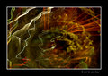Painting With Light 1