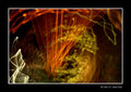 Painting With Light 3
