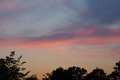 night sky over trees 7 june 2005.jpg