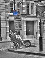 P1030432-dead-end-job.jpg