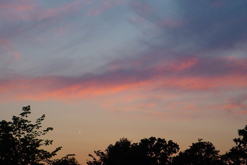 night sky over trees 7 june 2005.jpg