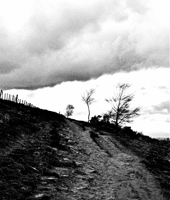 555-Otley-Chevin.jpg
