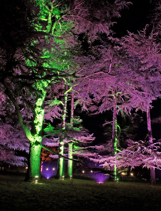 716-Westonbirt-2.jpg
