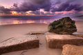 rocks at low tide