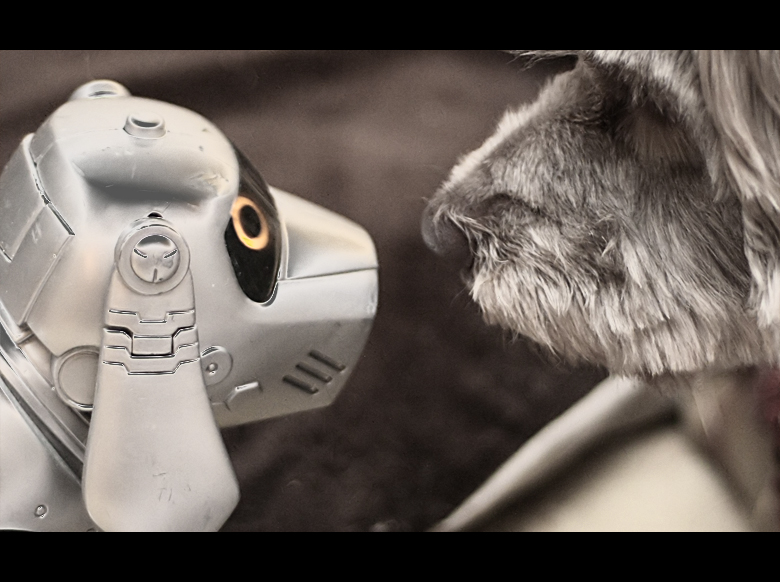 zowie vs. robodog