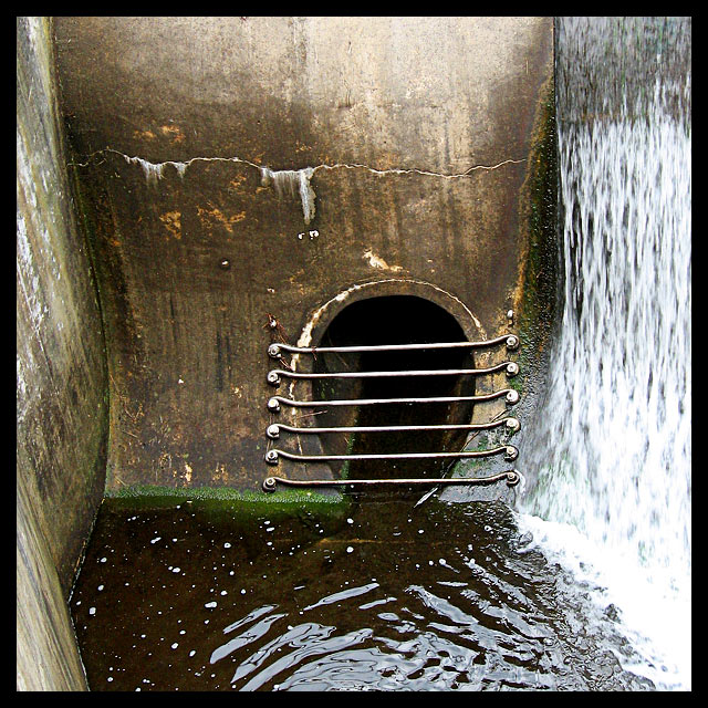 dam window