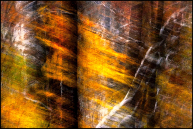 point mountain woods