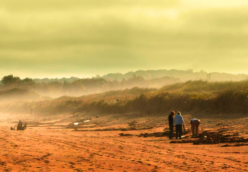 The Gleaners