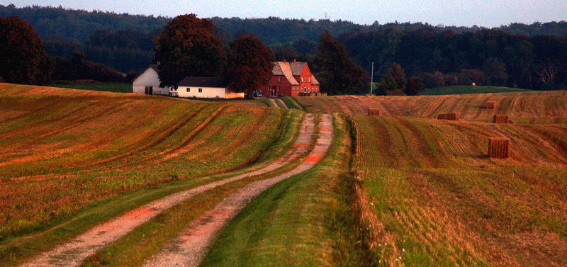 Sunset at the farm