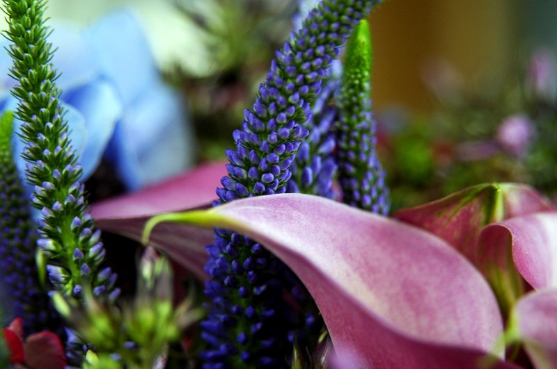 Bouquet