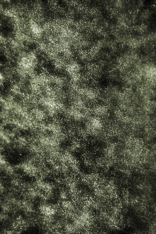 simulated blur