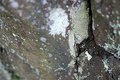 Lightning bolt in rock
