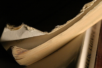 Book lover's nightmare