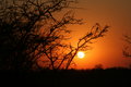 #1 sunrise kruger.JPG