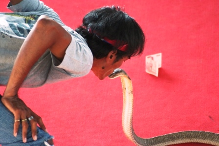 kissing 2 mts 11.JPG