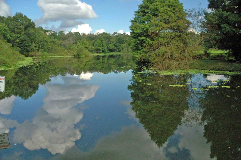 Lake Alice