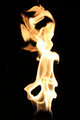 Angel in the Dark