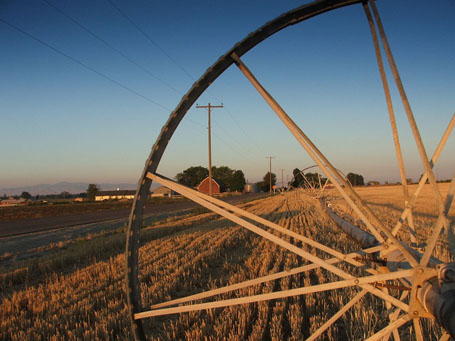 Nampa Farm