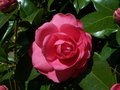 100_0496.JPG