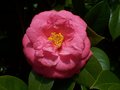 100_0501.JPG