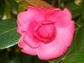 100_0503.JPG