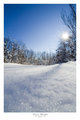 Snow Bright