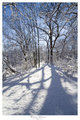 winter silence
