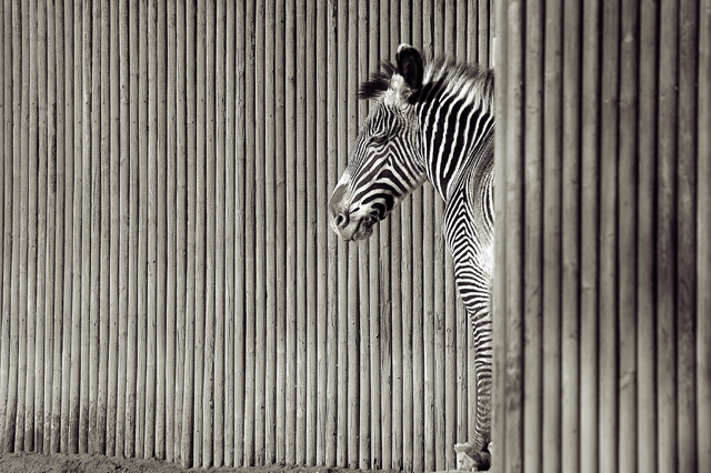 Standing in Line(Original).jpg