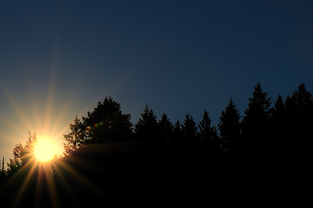 DSC_0293.jpg