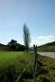 birds-view.jpg