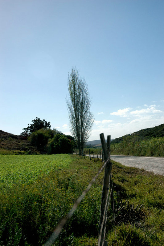 birds-view.jpg