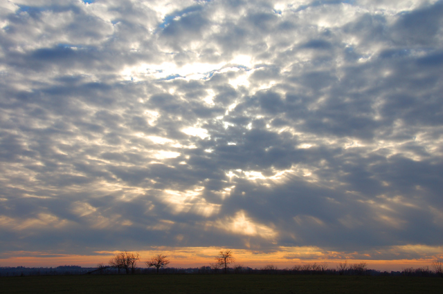 Sky 1