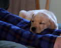 All Worn Out !