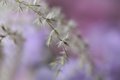 A Gentle Touch