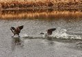 Walking On Water