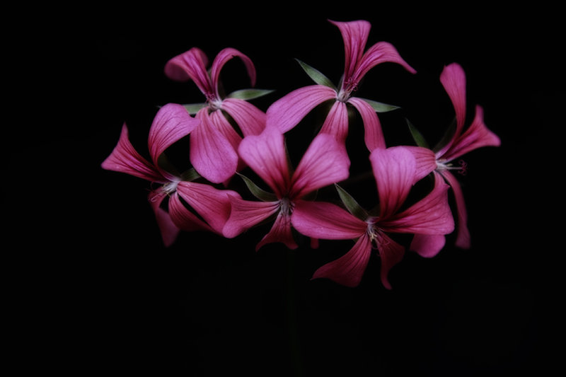 Out Of Darkness