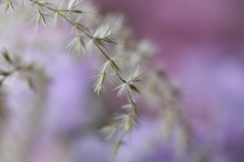 A Gentle Touch