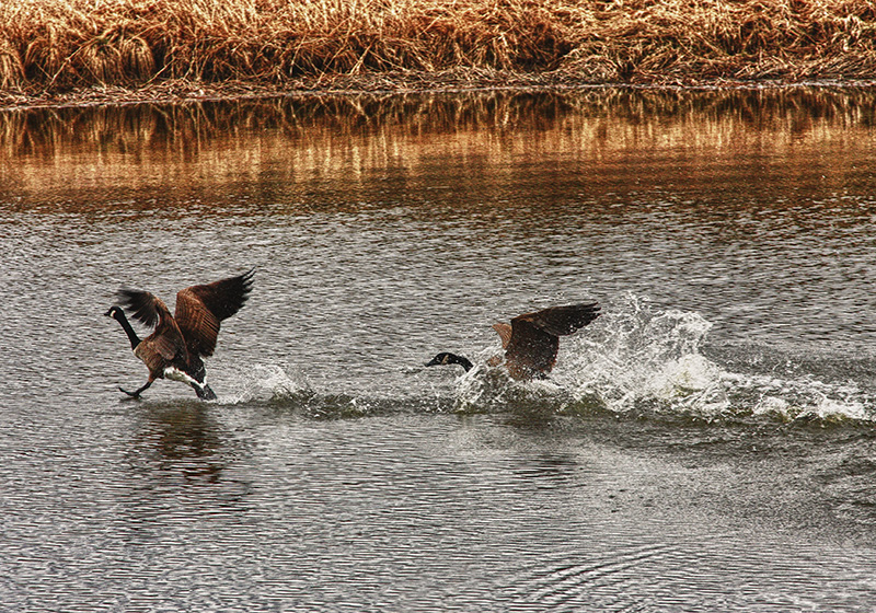 Walking On Water