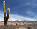 Altiplano
