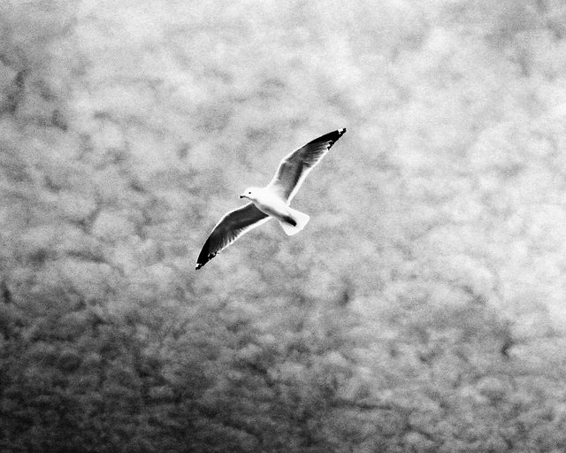Racing the Storm