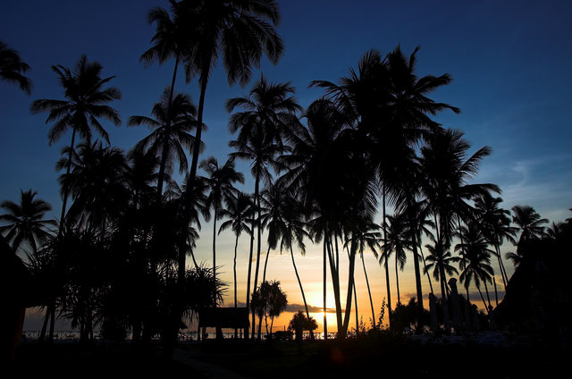 Tropical sunrise