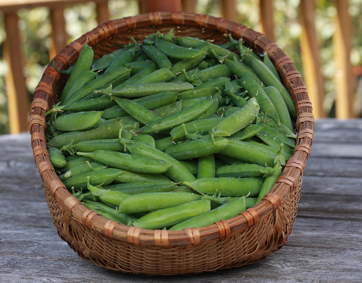  Peas